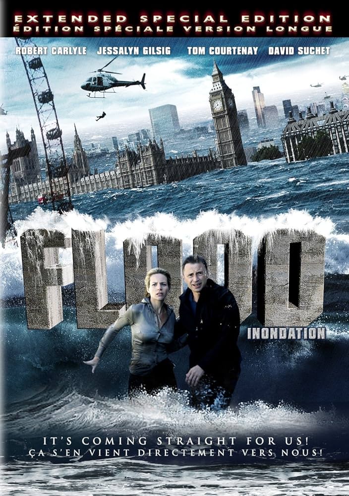 постер Floods